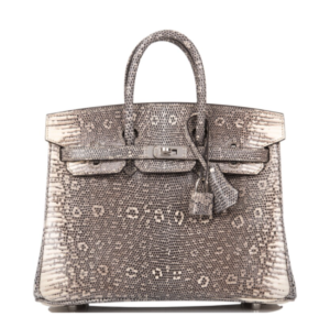 The Ombré Birkin